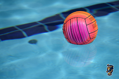 2018-19, предсезонка – водное поло и эстафета в Sport Inn
