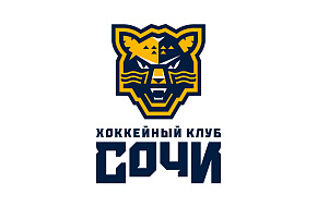 Информация о прерванном матче ХК «Сочи» – ЦСКА